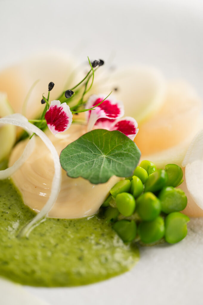 Platefully | Website Update