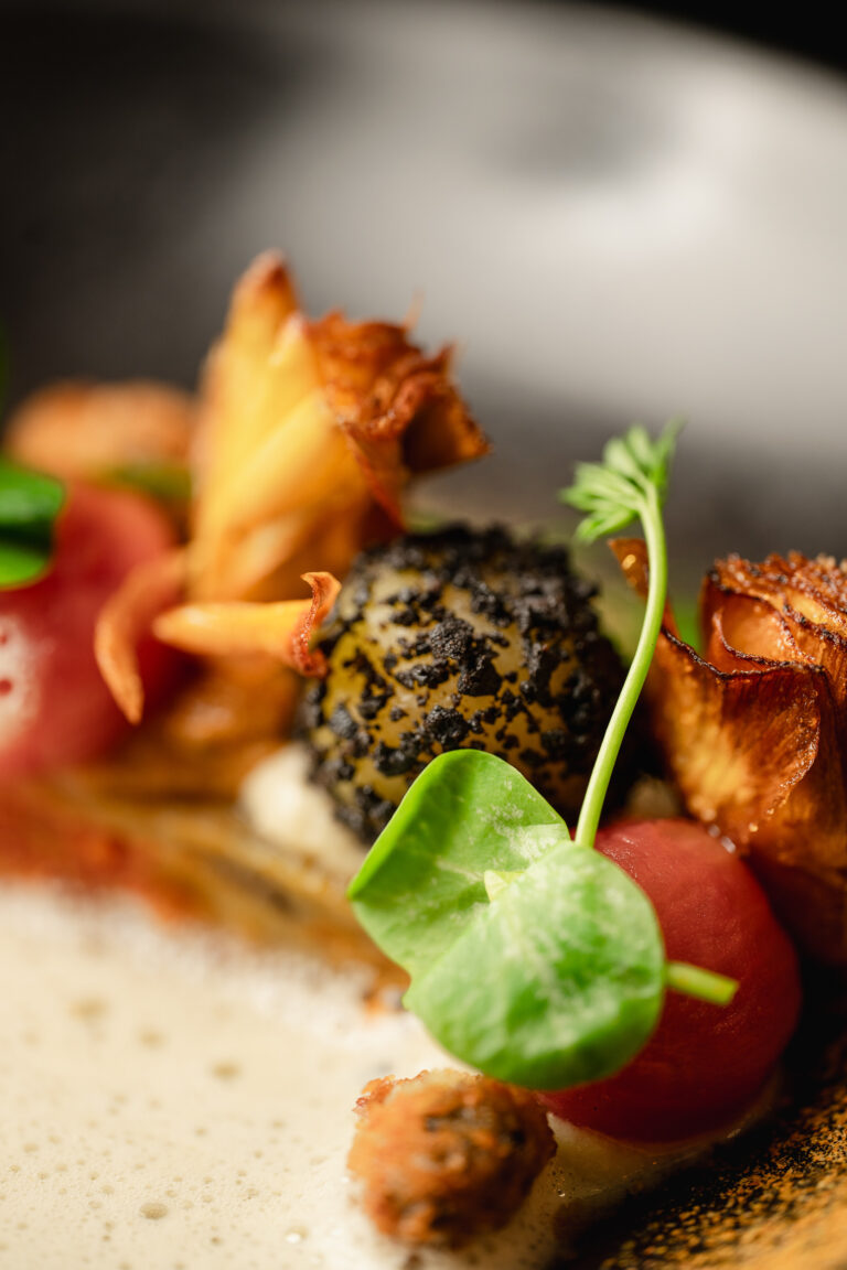 Platefully | Website Update