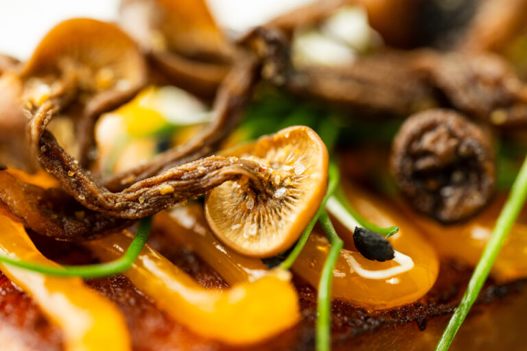 Platefully | Website Update