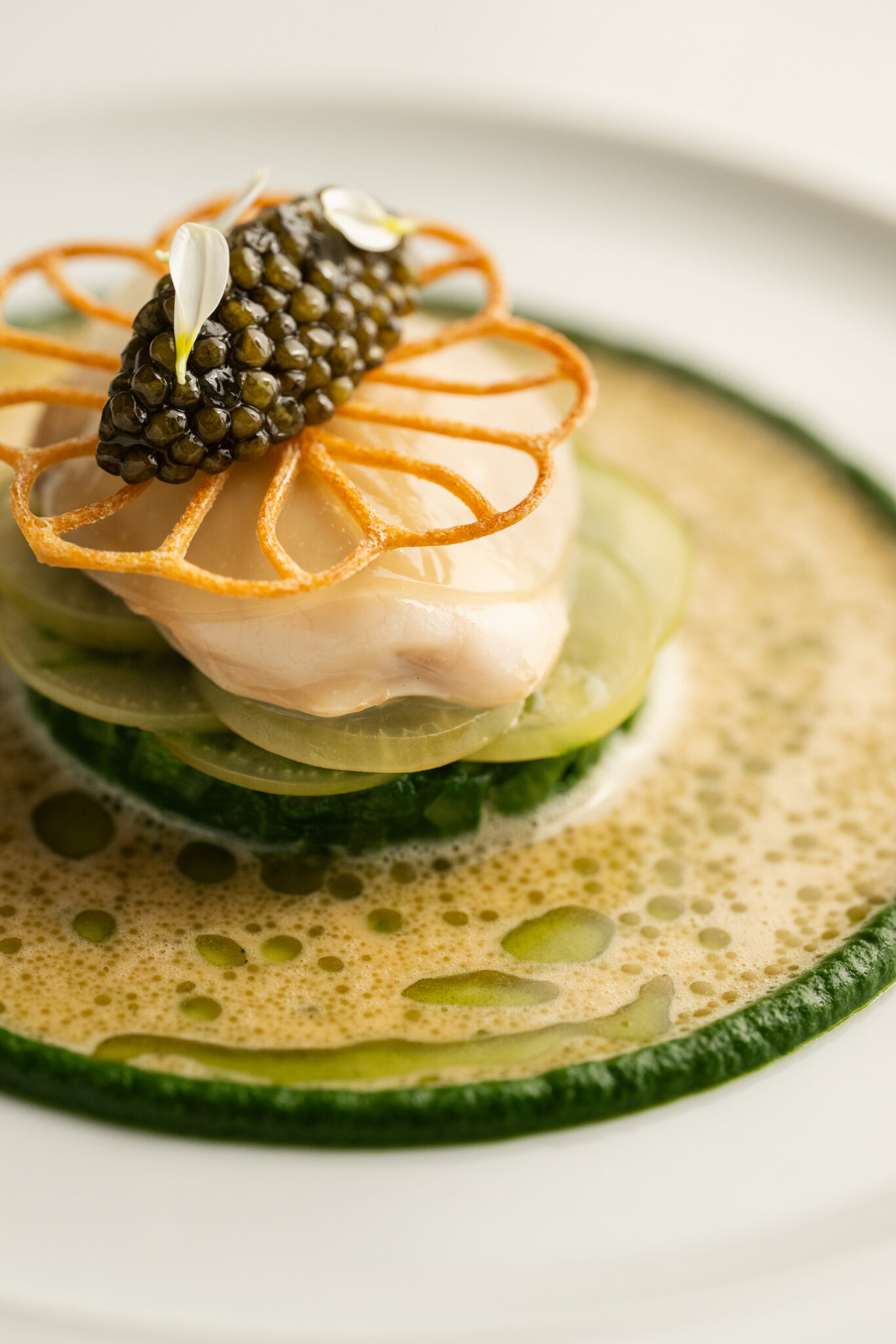 Platefully | Website Update