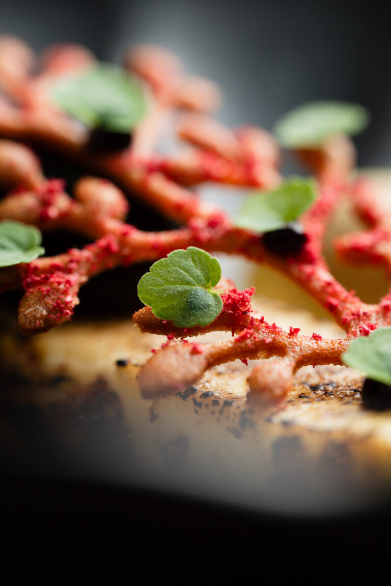 Platefully | Website Update